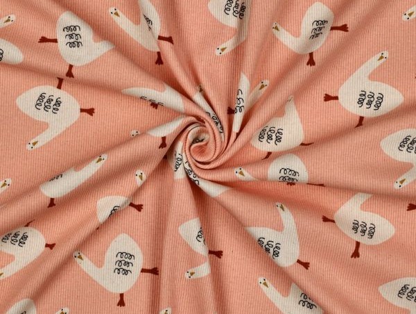 Jersey , Rippjersey, Vogel, apricot Jersey , Rippjersey, Vogel, apricot