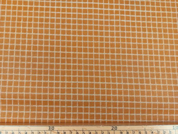 Abschnitt beschichtete Baumwolle, kariert, caramel Abschnitt beschichtete Baumwolle, kariert, caramel