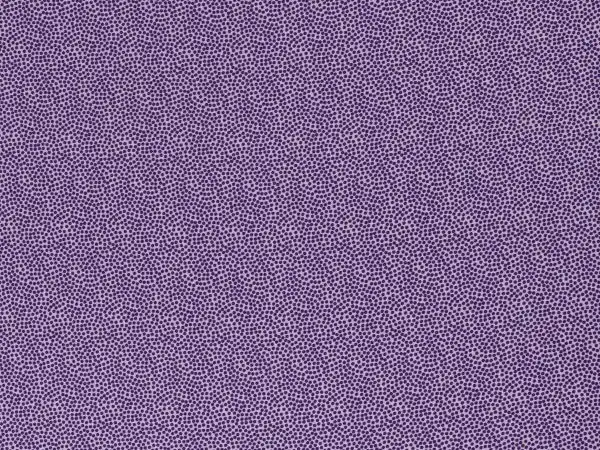 100 % Baumwolle Punkte flieder / lila