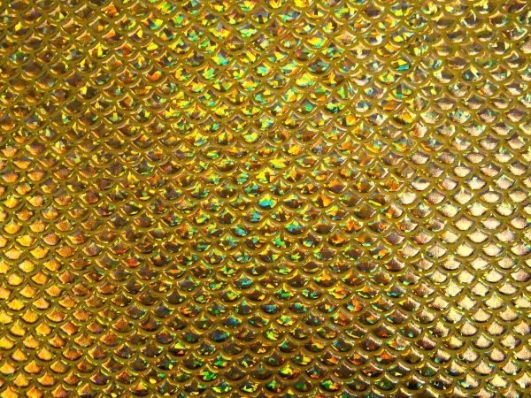 Wirkstoff Fischschuppen Hologramm gold