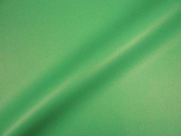 Abschnitt Kunstleder chlorophyl ( grün) 
