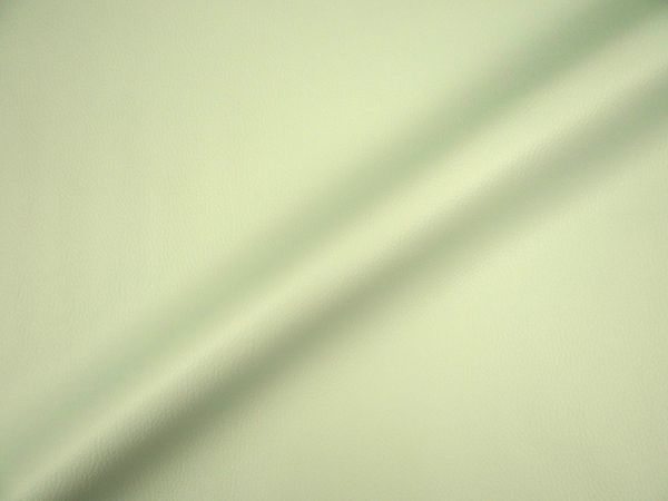Abschnitt Kunstleder riviera ( helles mint)