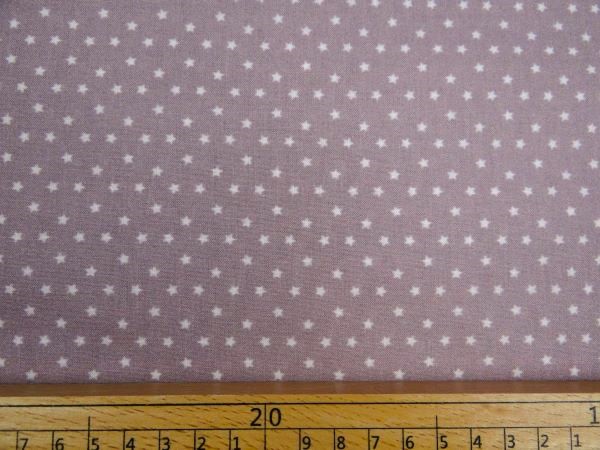 FM-geeistes-rosa-Stern-2