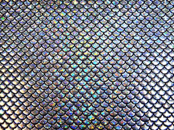 Wirkstoff Fischschuppen Hologramm silber /schwarz