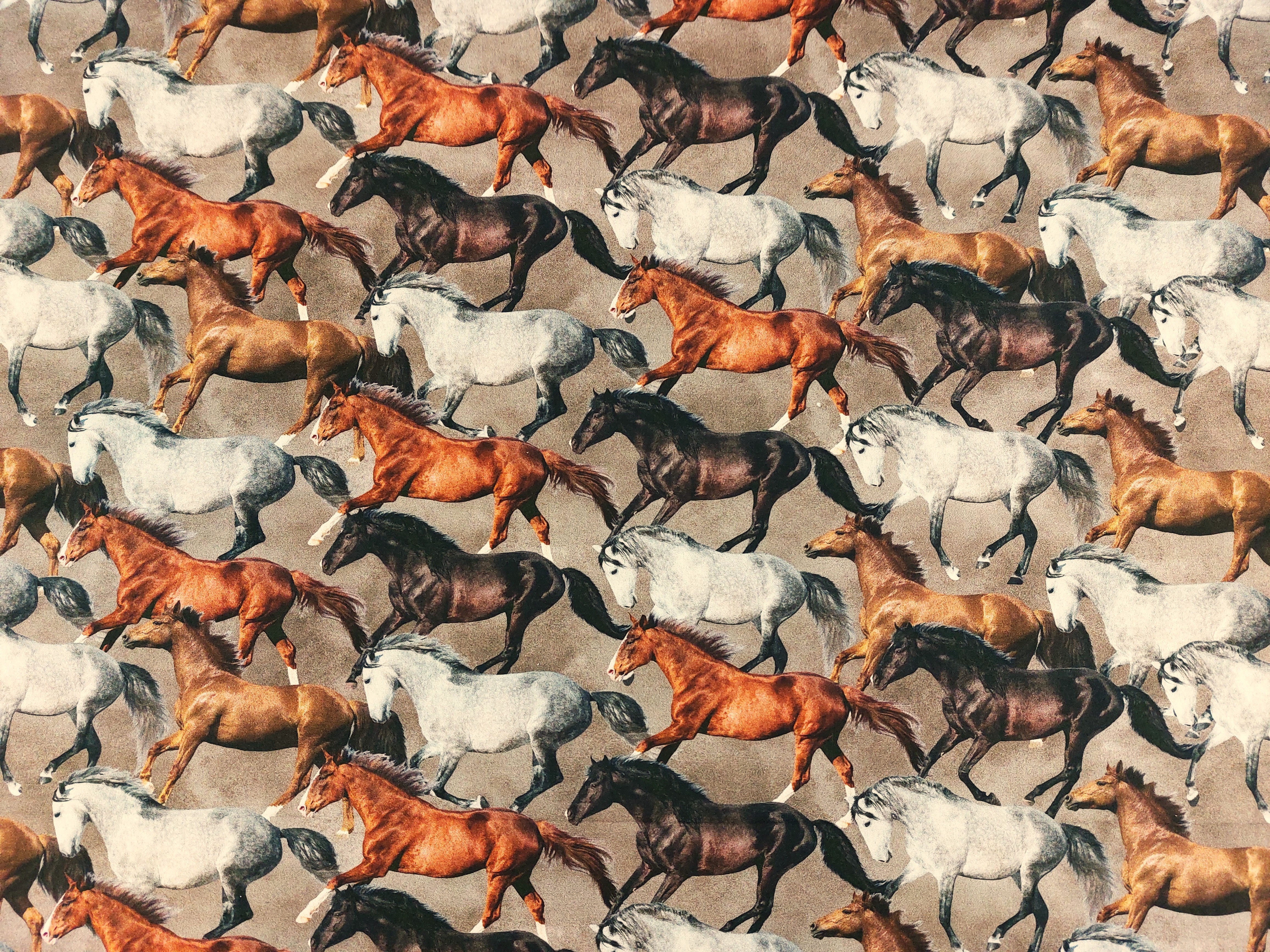 100 % Baumwolle Pferde 100 % Baumwolle Pferde