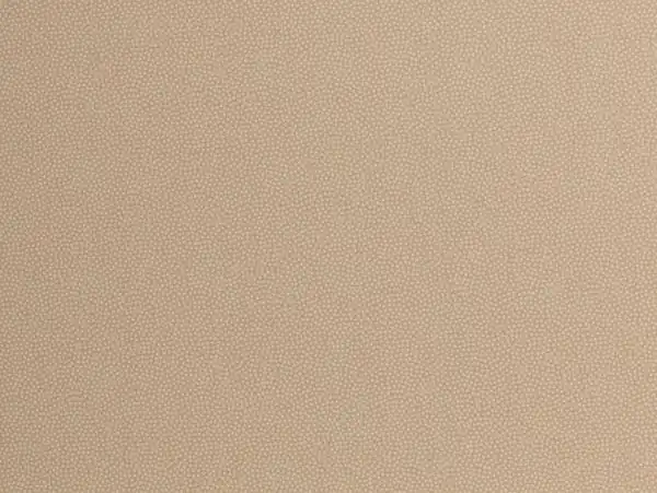 100 % Baumwolle Punkte creme 100 % Baumwolle Punkte creme