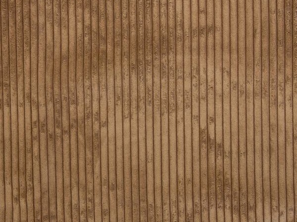 Samt-Breitcord camel