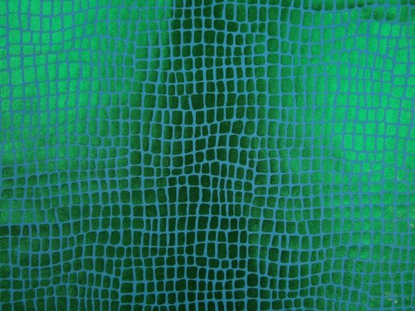 Wirkstoff Reptile, türkis / grün