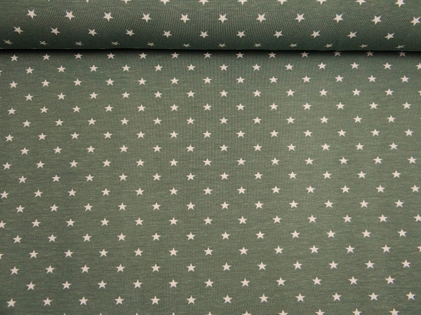 11802-022-dusty-mint