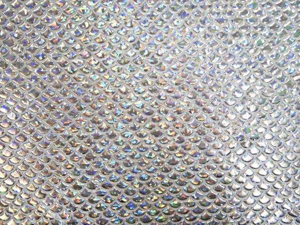 Wirkstoff Fischschuppen Hologramm silber /weiß