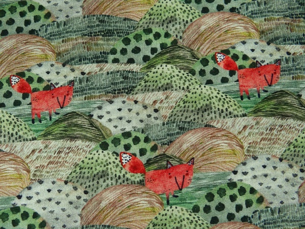 n17503-025-Fuchs-auf-H-geln-4