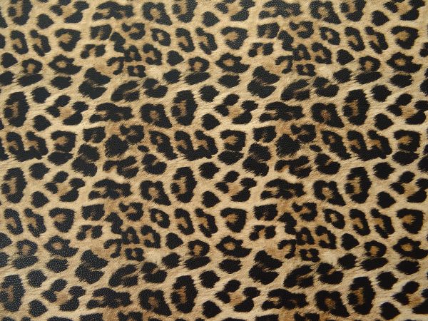 Abschnitt Kunstleder Leo beige / schwarz